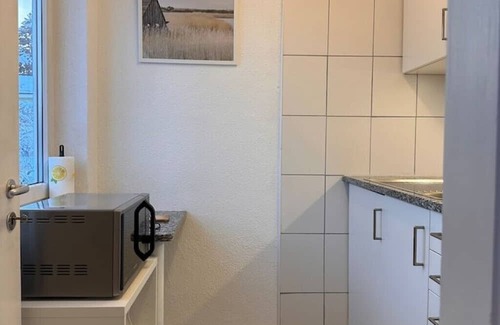 Hoengg Appartement | Gemütliches Apartment mit Einem Schlafzimmer in Zürich Höngg