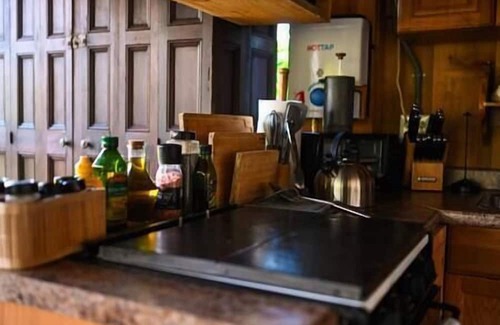 Rogers Maison | Secluded cabin w/ Finnish Sauna & Forest Baths