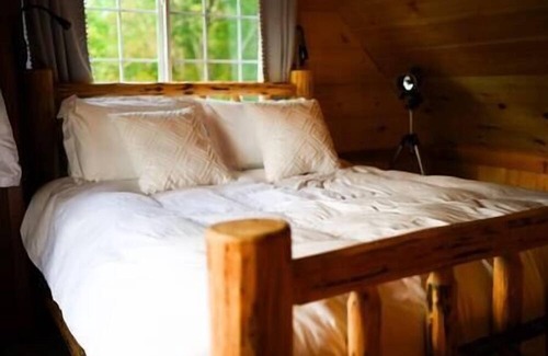 Rogers Maison | Secluded cabin w/ Finnish Sauna & Forest Baths