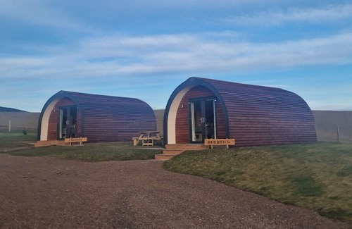 Eyemouth Cabine | Cheviot -luxury pods with Private hot tubs - BBQ -750m to Beach- family friendly