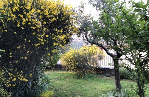 Giano dell'Umbria Maison | Giano dell’Umbria - Privacy e silenzio