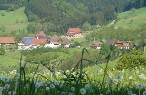 Zell am Harmersbach Appartement | Holiday apartment on the Löchlehof