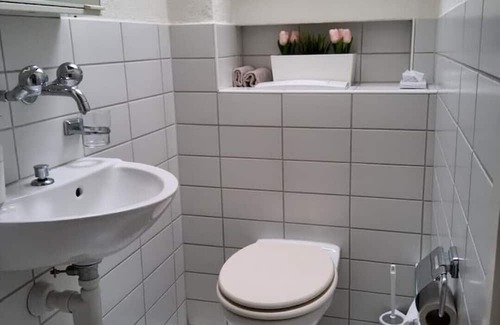 Horgen District Appartement | Beautiful apartment with lake views, and its own balcony... SLEEPS 2 PEOPLE