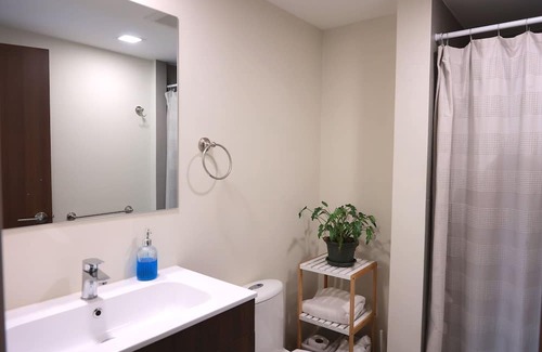 San Jose Appartement | Cozy Apartment close to the nicest parts of San jose, 15 min to SJO airport