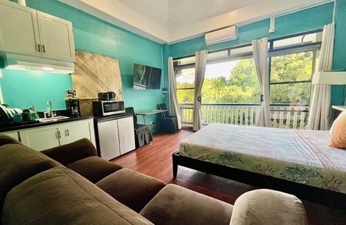 Koror Appartement | Ngermid Oasis - Spacious Studio Loft W/ Kitchen & Garden Views