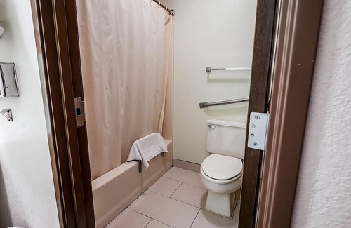 Chesaning Maison | Making The Best Memories Along The Way! Pets Are Welcome! Free Parking!