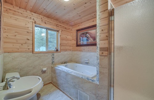 Barnum Cabine | Barnum Cabin on 30 Acres w/ Soo Line Trail Access!