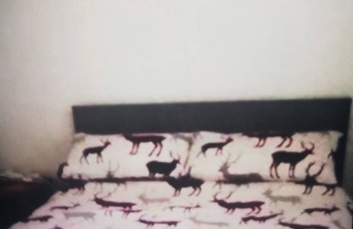 Whiteness Appartement | Inchbae Lodge - Free fishing for guests