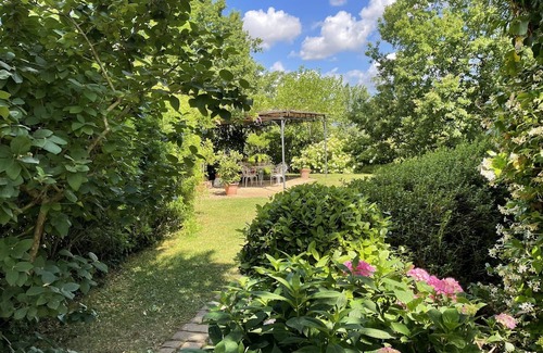 Montopoli in Val d'Arno Appartement | Authentic country house in the heart of Tuscany with bio pool and private patio