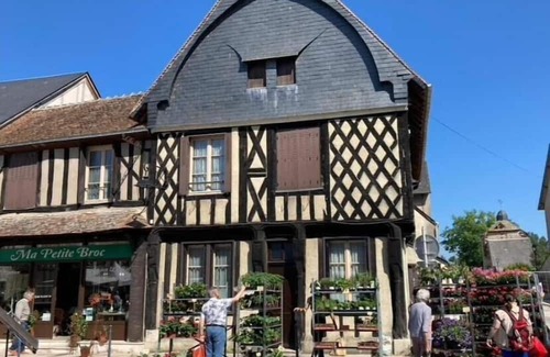 Aubigny-sur-Nere Appartement | Villa Capucine