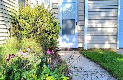 Midland Maison | Cozy Small Town Connect with Nature
