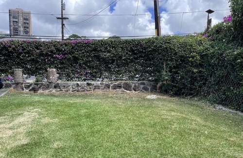 Pacific Heights Maison | Central Spacious Island Getaway 2b1b/Free Parking