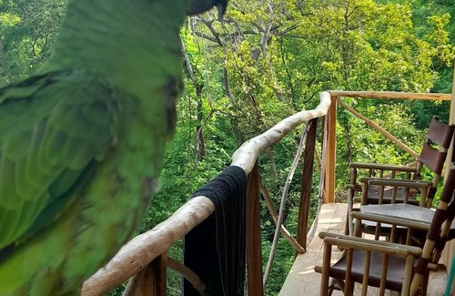 Rio Seco Cabine | Rustic Costa Rica experience. wooden house in the trees.