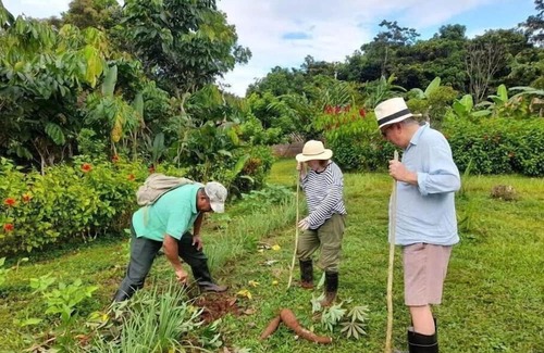Sabalos Cabine | La Mariola - Finca Agroecológica