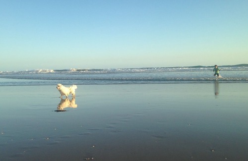 Venus Bay Maison | Walk to shops and beach and playground Free wifi. Netflix.