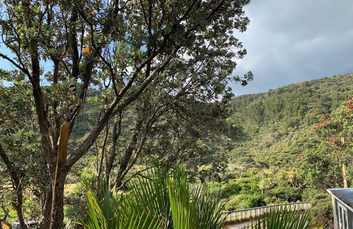 Piha Maison | "Ruruwai" Perfect Piha Beach getaway