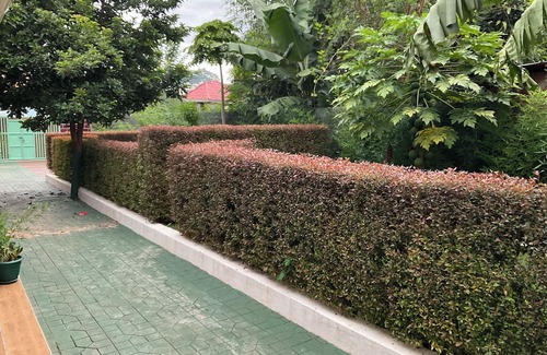 Moshi Cottage | Experience Comfort and Nature at Rau Forest Villa, Moshi