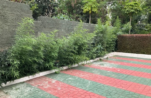 Moshi Cottage | Experience Comfort and Nature at Rau Forest Villa, Moshi