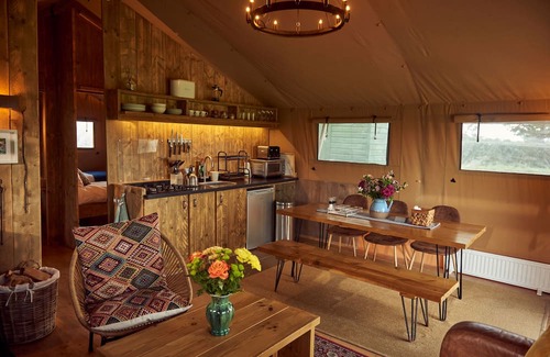 Glastonbury Cabine | Pippin, set in a peaceful orchard just ten minutes from Glastonbury
