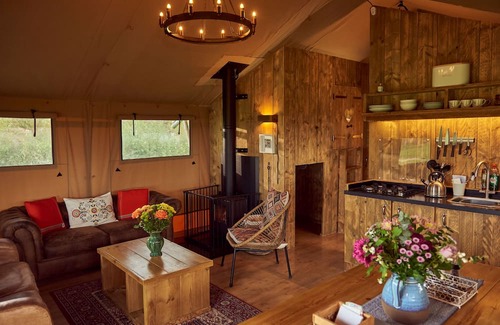 Glastonbury Cabine | Pippin, set in a peaceful orchard just ten minutes from Glastonbury