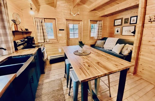 Fraser Valley Regional District Cabine | Peaceful cabin in the mountains with pond view. Pet friendly!