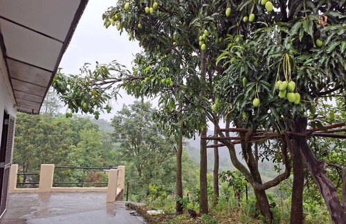Chintpurni Lit Et Petit-Déjeuner | The Thanedar Sahib -100+ year-old, 4-bedroom Himachali-style homestay