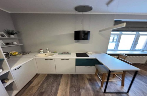 Panevezys Appartement | Fantastic apartment with WiFi and TV in charming Panevėžys
