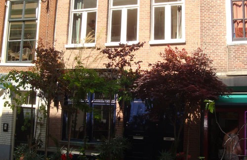 Grachtengordel-Zuid Appartement | Two bedroom apartment in the museum districht