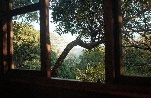 Sakleshpur Cabine | Treedom Treehouse Eco-Restoration getaway in the Jungles of South India