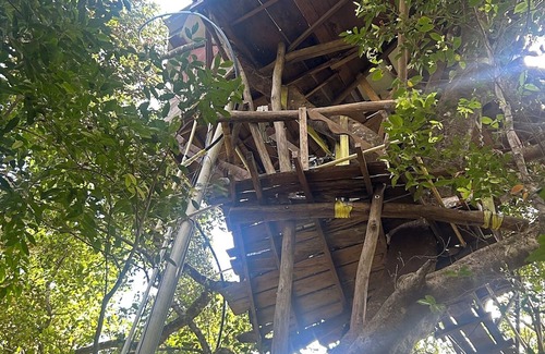 Sakleshpur Cabine | Treedom Treehouse Eco-Restoration getaway in the Jungles of South India