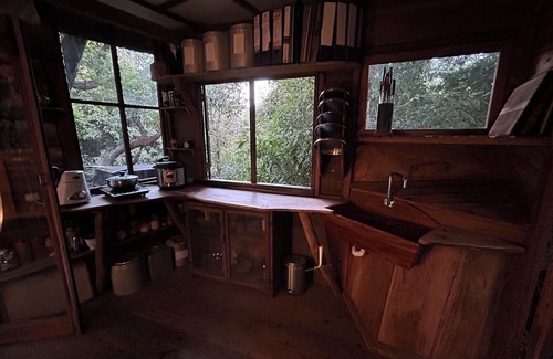 Sakleshpur Cabine | Treedom Treehouse Eco-Restoration getaway in the Jungles of South India