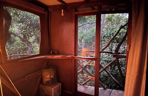 Sakleshpur Cabine | Treedom Treehouse Eco-Restoration getaway in the Jungles of South India