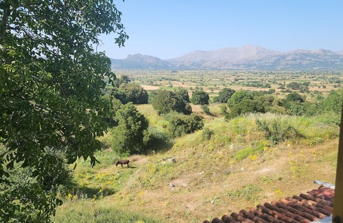 Magoulas Appartement | Dionysus House Lasithi Plateau