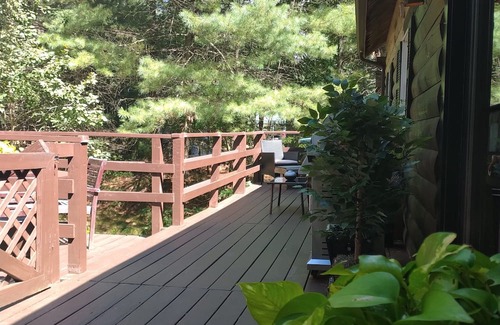 North Carver Cabine | Cozy 2-bedroom cabin in charming Plymouth with AC, WiFi