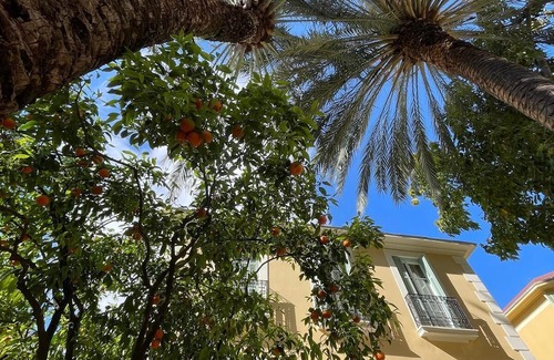 Le Piol Appartement | Studio Sous les Agrumes