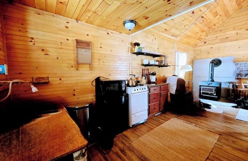 Town of Amboy Cabine | Spring Is In The Air | Cozy off-grid cabin