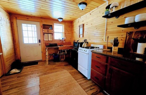 Town of Amboy Cabine | Spring Is In The Air | Cozy off-grid cabin