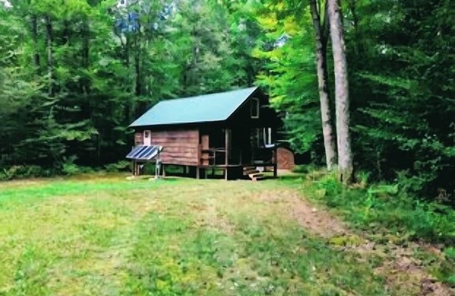 Town of Amboy Cabine | Spring Is In The Air | Cozy off-grid cabin