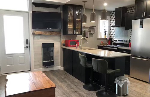 Inner Harbour Appartement | 1 bedroom modern suite, close to downtown.