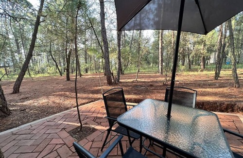 Huasca De Ocampo Cabine | 12 minutes from Pachuca. We accept guests with pets.