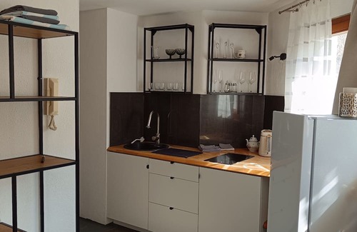 Nagold Appartement | Apartment in Nagold with shower and kitchen