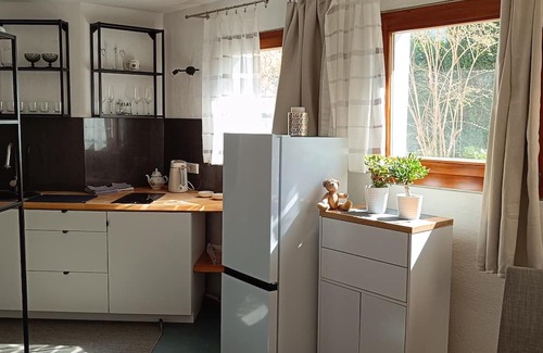 Nagold Appartement | Apartment in Nagold with shower and kitchen