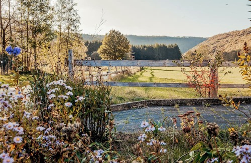 Gemund Appartement | Beautiful and modern vacation apartment in the middle of the Eifel National Park.