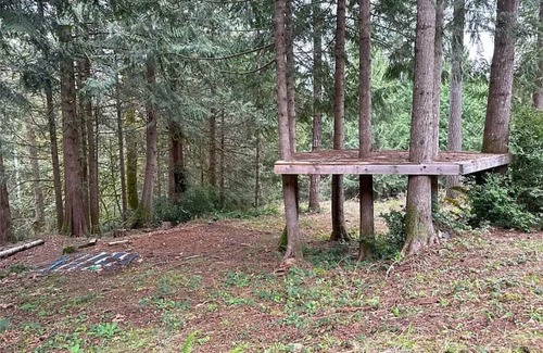 Brinnon Maison | A perfect escape in the woods on the Hood Canal! Cabin, treehouse, camp sites!