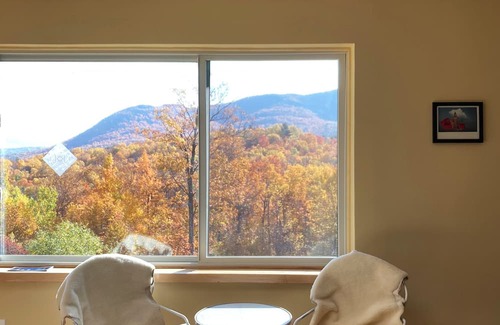 Castleton Appartement | Hilltop Pet Friendly Studio in Castleton, Vermont