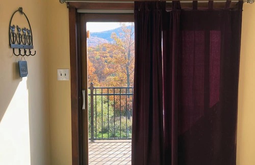 Castleton Appartement | Hilltop Pet Friendly Studio in Castleton, Vermont