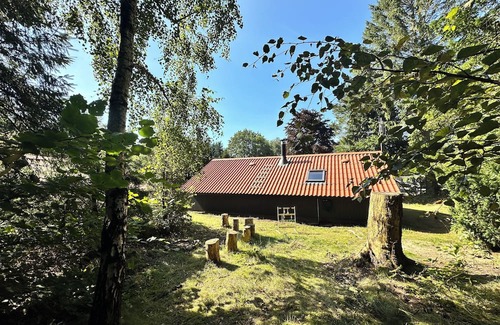 Ansager Cabine | Unique forest cabin by the lake | Near Legoland & Lalandia