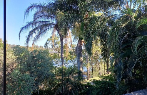 Tannum Sands Appartement | Beautifully appointed Riverside Apartment with views near to river and beach.