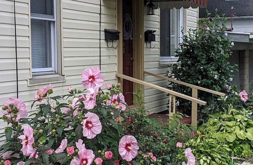 Greensburg Appartement | Your Cozy Home in Greensburg, Laurel Highlands, near Seton Hill, Excela Health