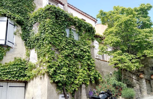 Sainte-Anastasie-sur-Issole Appartement | Studio Magnolia Provence Alpes Côte d'Azur